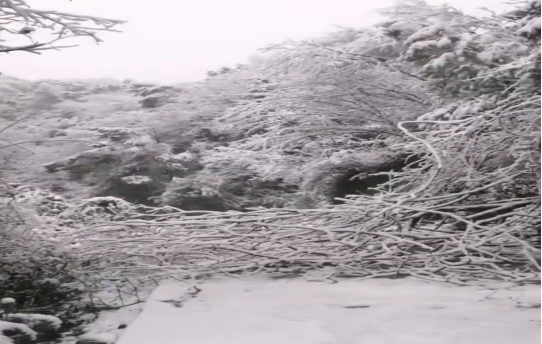 战暴雪、保供电！开云体育(中国)官方网站鸟儿巢公司应对极端天气紧急抢修失电故障