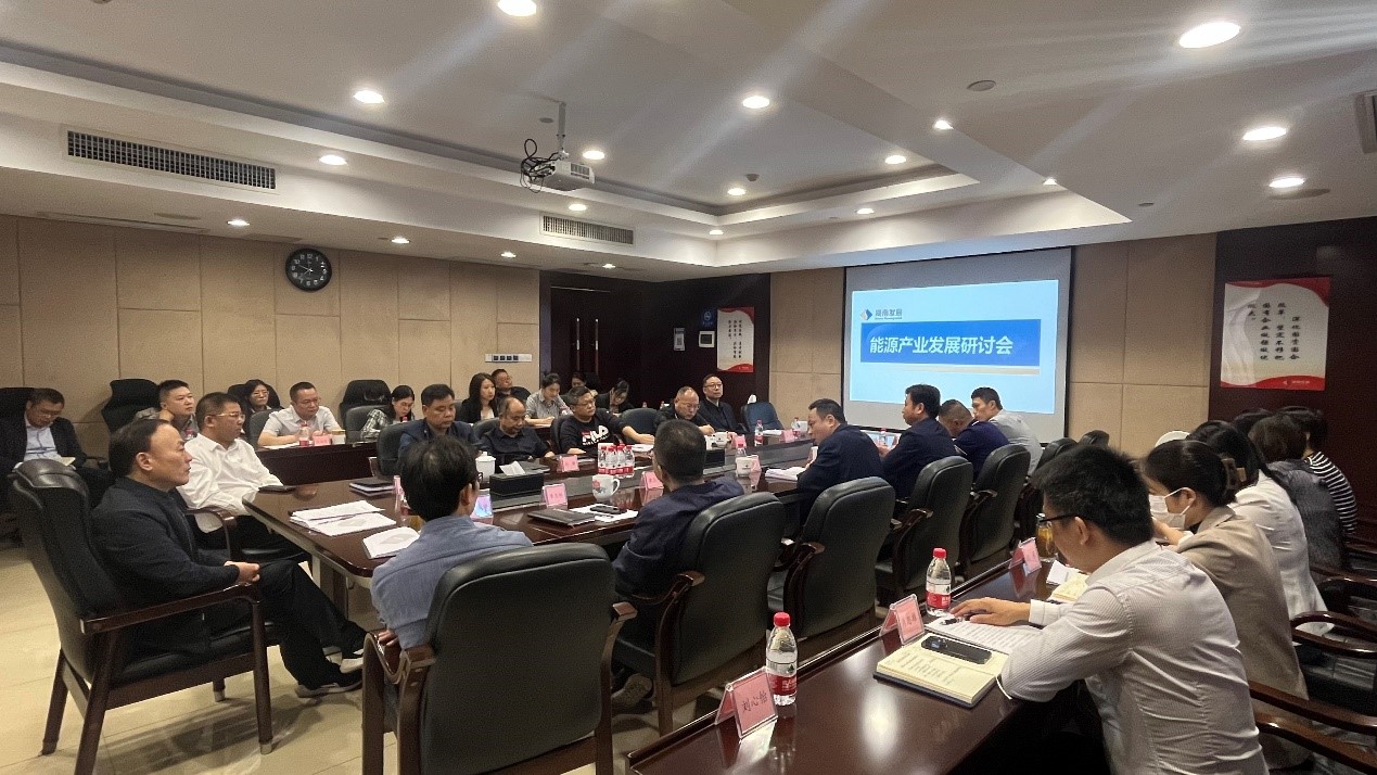 开云体育(中国)官方网站召开能源产业发展研讨会